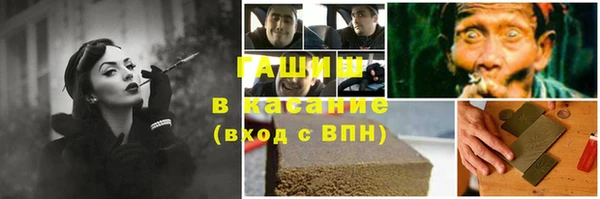 шишки Майский