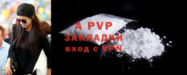 индика Липки