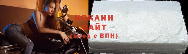 шишки Майский