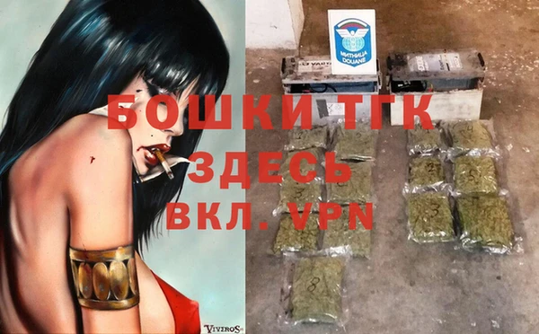 индика Липки