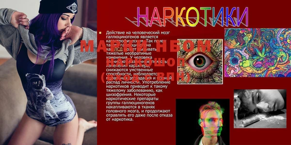 шишки Майский