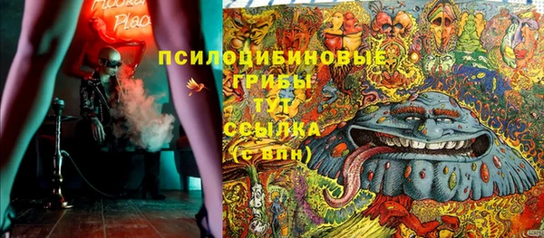 индика Липки
