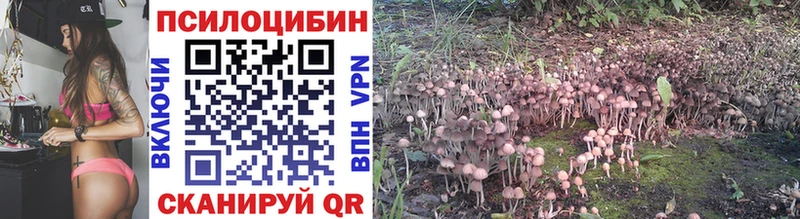 Галлюциногенные грибы Psilocybine cubensis  блэк спрут ТОР  Кинешма 