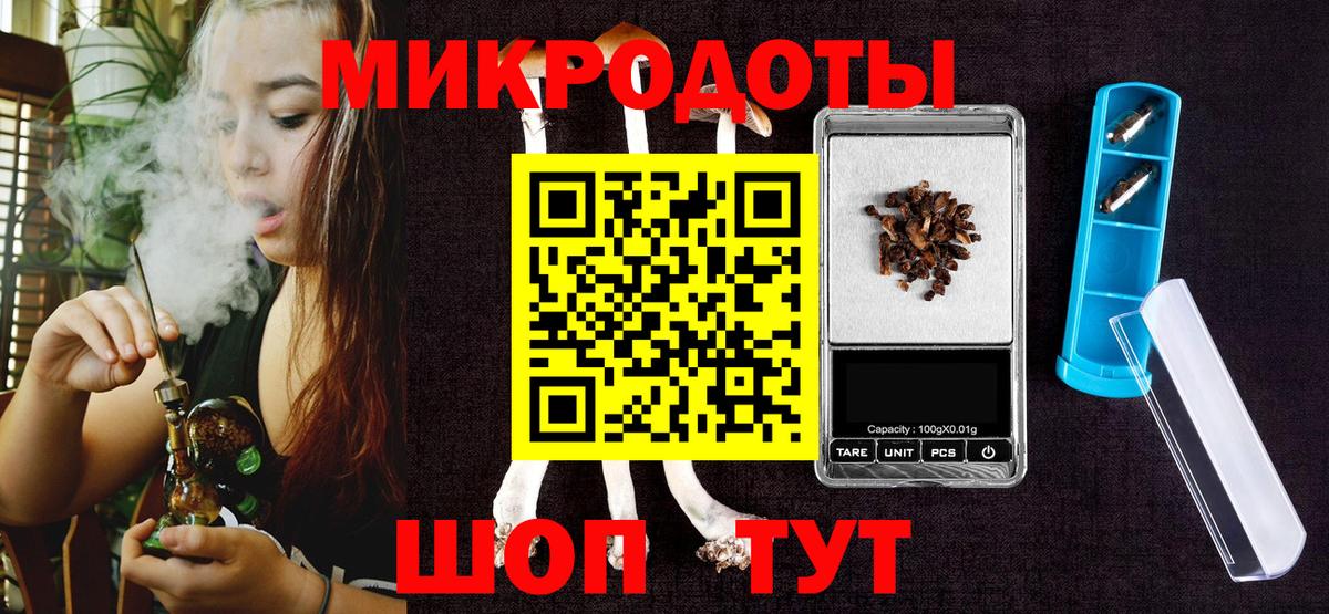 Псилоцибиновые грибы Cubensis Кинешма