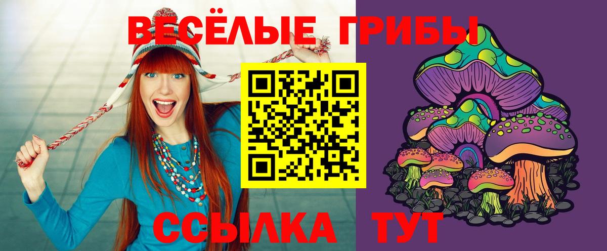 Кинешма  Галлюциногенные грибы Psilocybe  где можно купить наркотик  Вход с VPN 