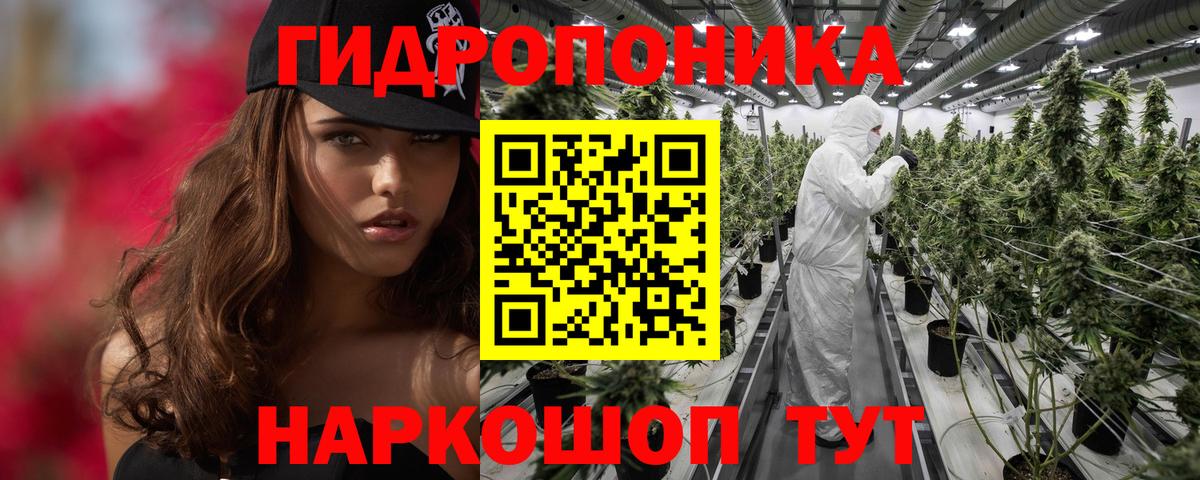 Каннабис конопля  Кинешма  Каннабис планчик  МАРИХУАНА сатива  Каннабис THC 21% 